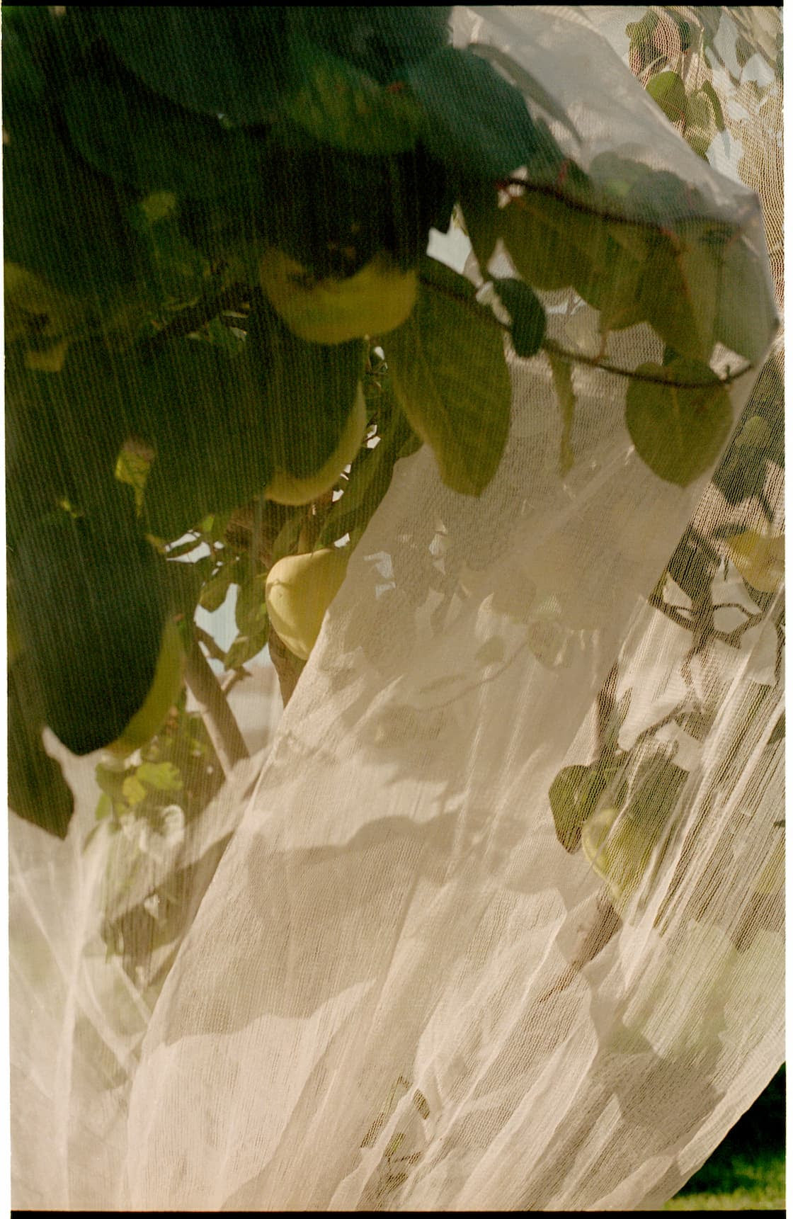 THE ANNIVERSARY OF WHEN IT ALL BEGAN