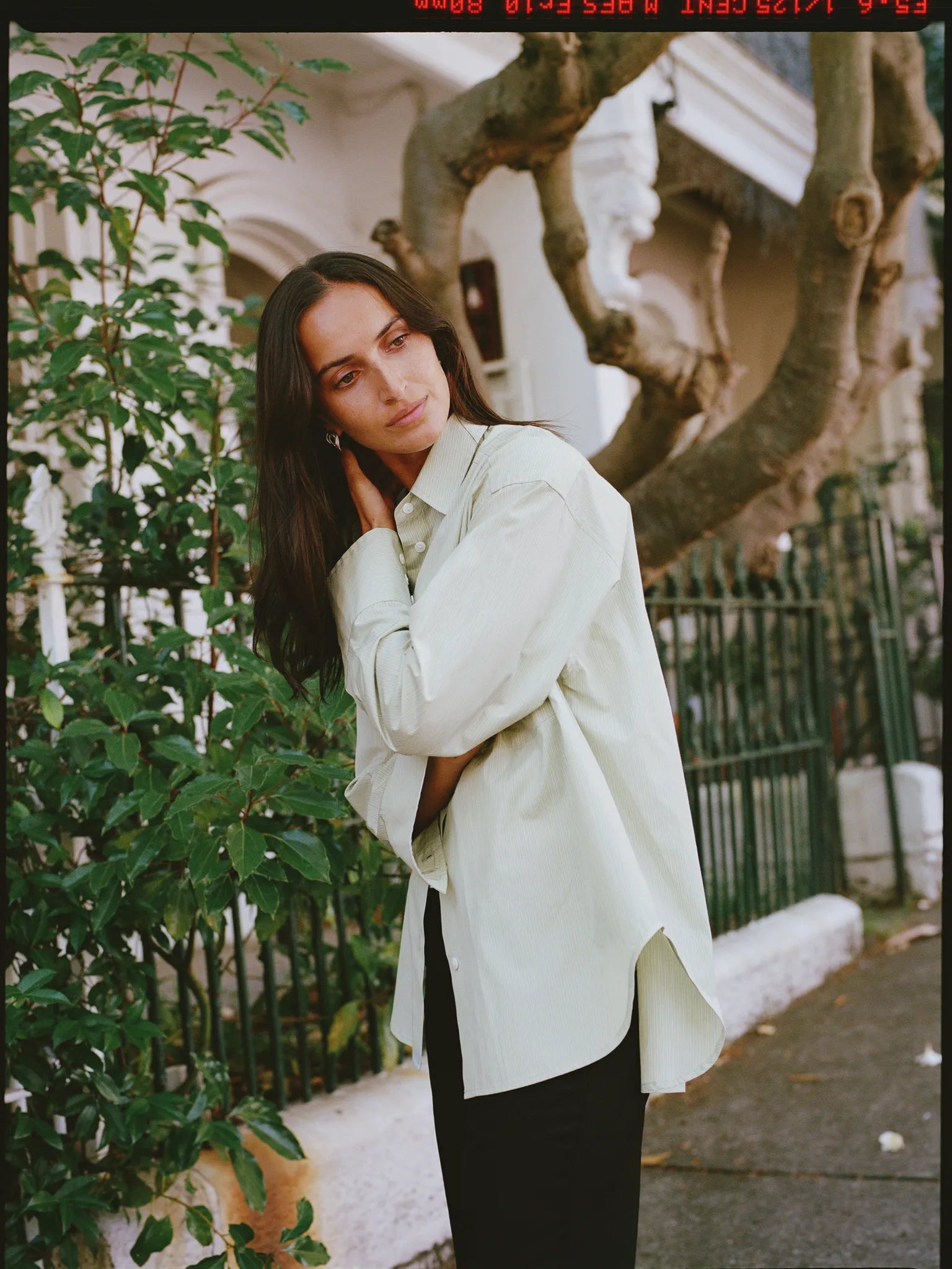 Limited Edition - Artist Japanese Pistachio Stripe Cotton Shirt