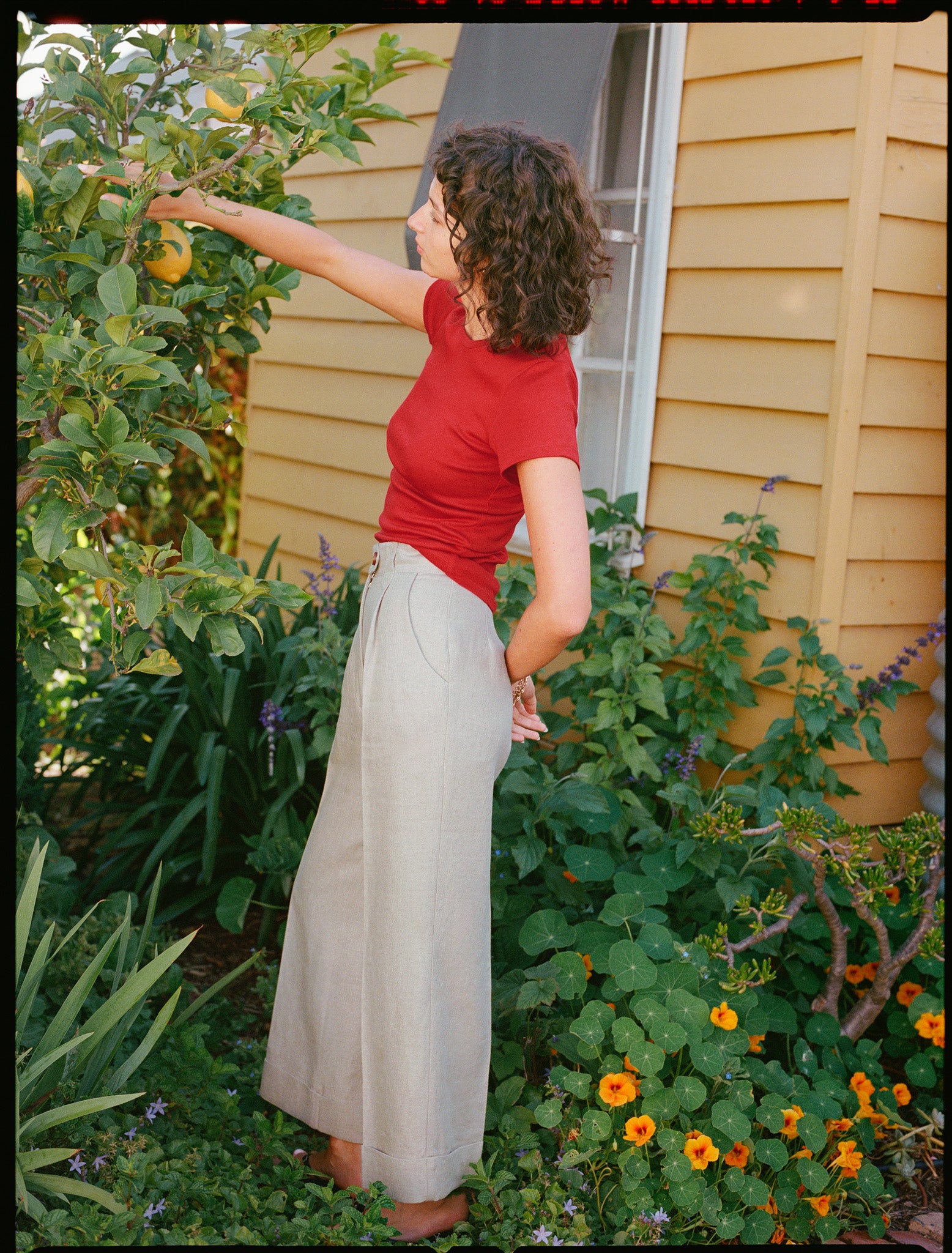 Recently Back in Stock - Ines Biscotti Japanese Linen Pants