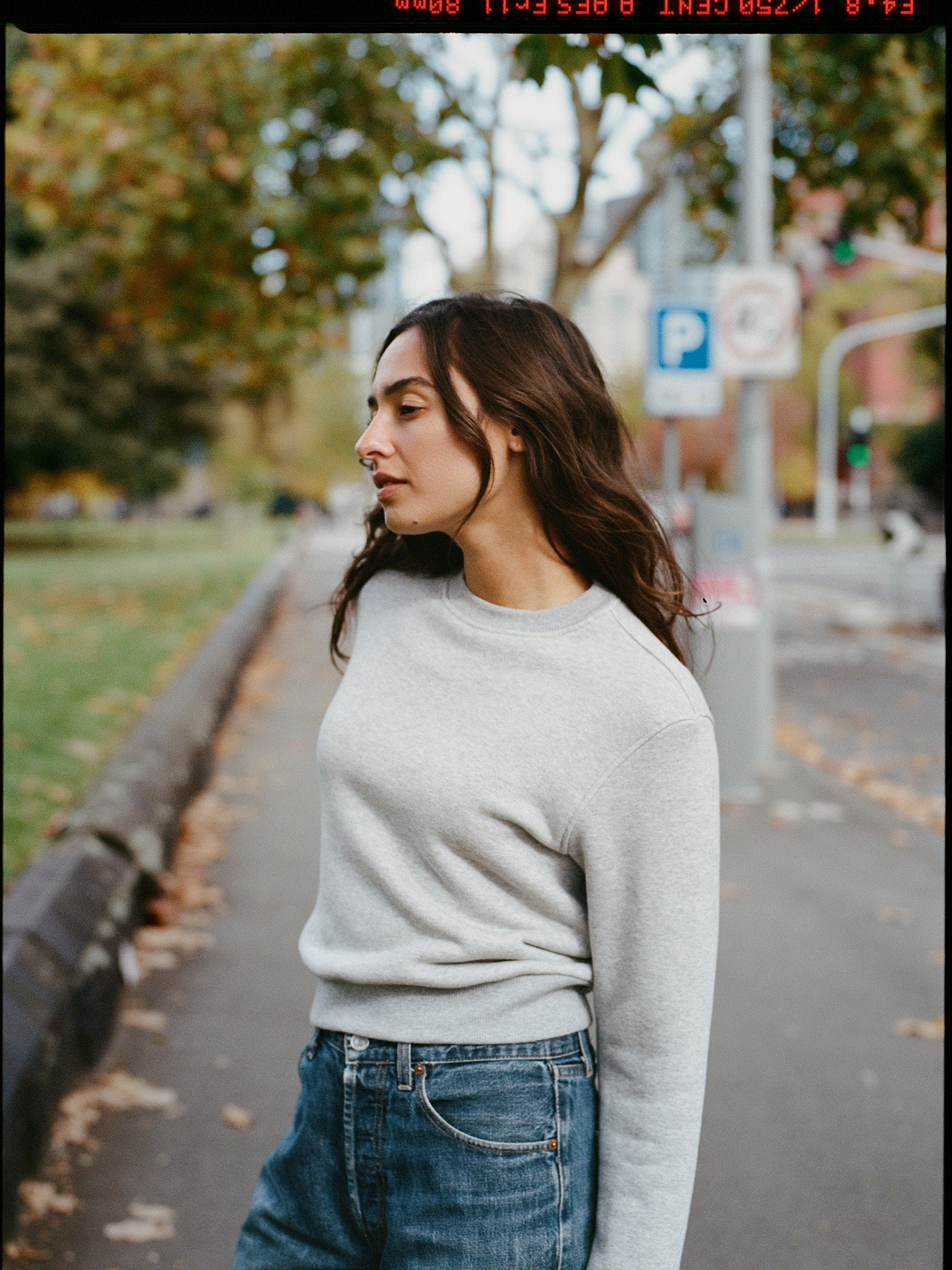 Fiadh Grey Japanese Cotton Sweatshirt