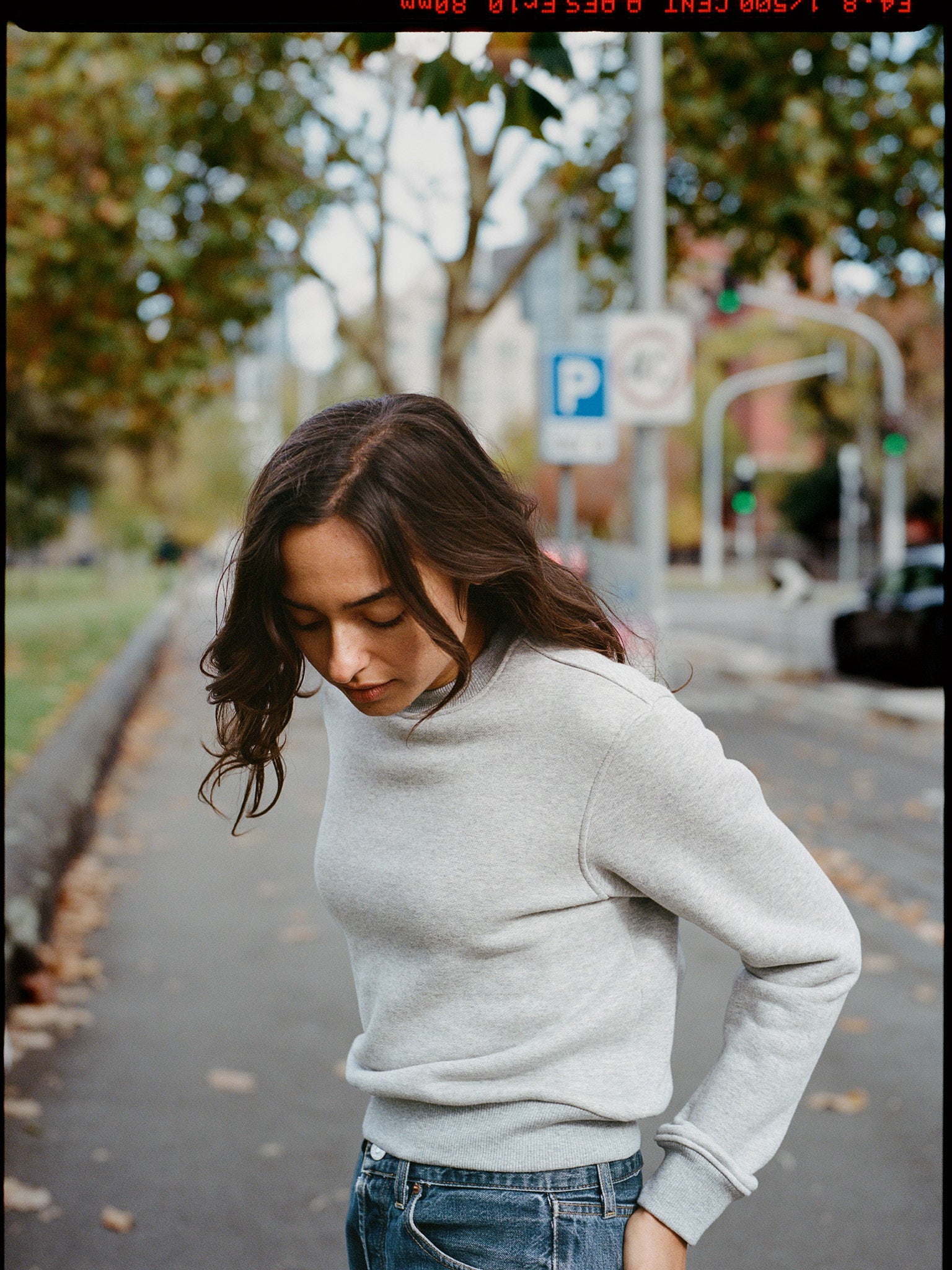 Fiadh Grey Japanese Cotton Sweatshirt