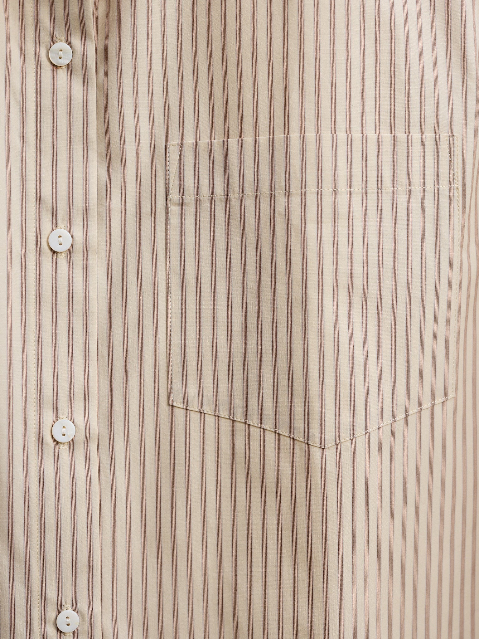 Artist Japanese Latte Stripe Cotton Shirt