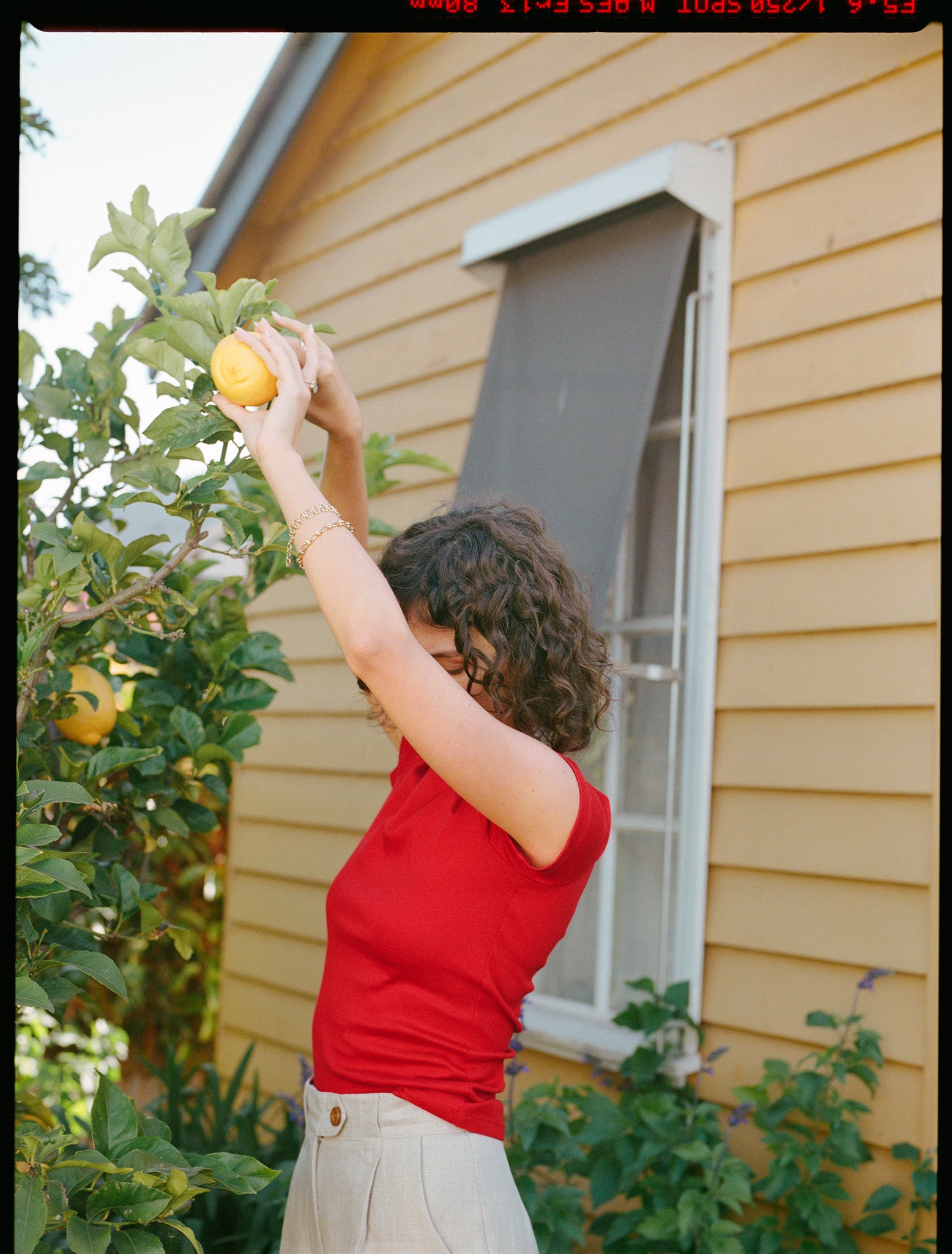 Recently Back in Stock - Ines Biscotti Japanese Linen Pants