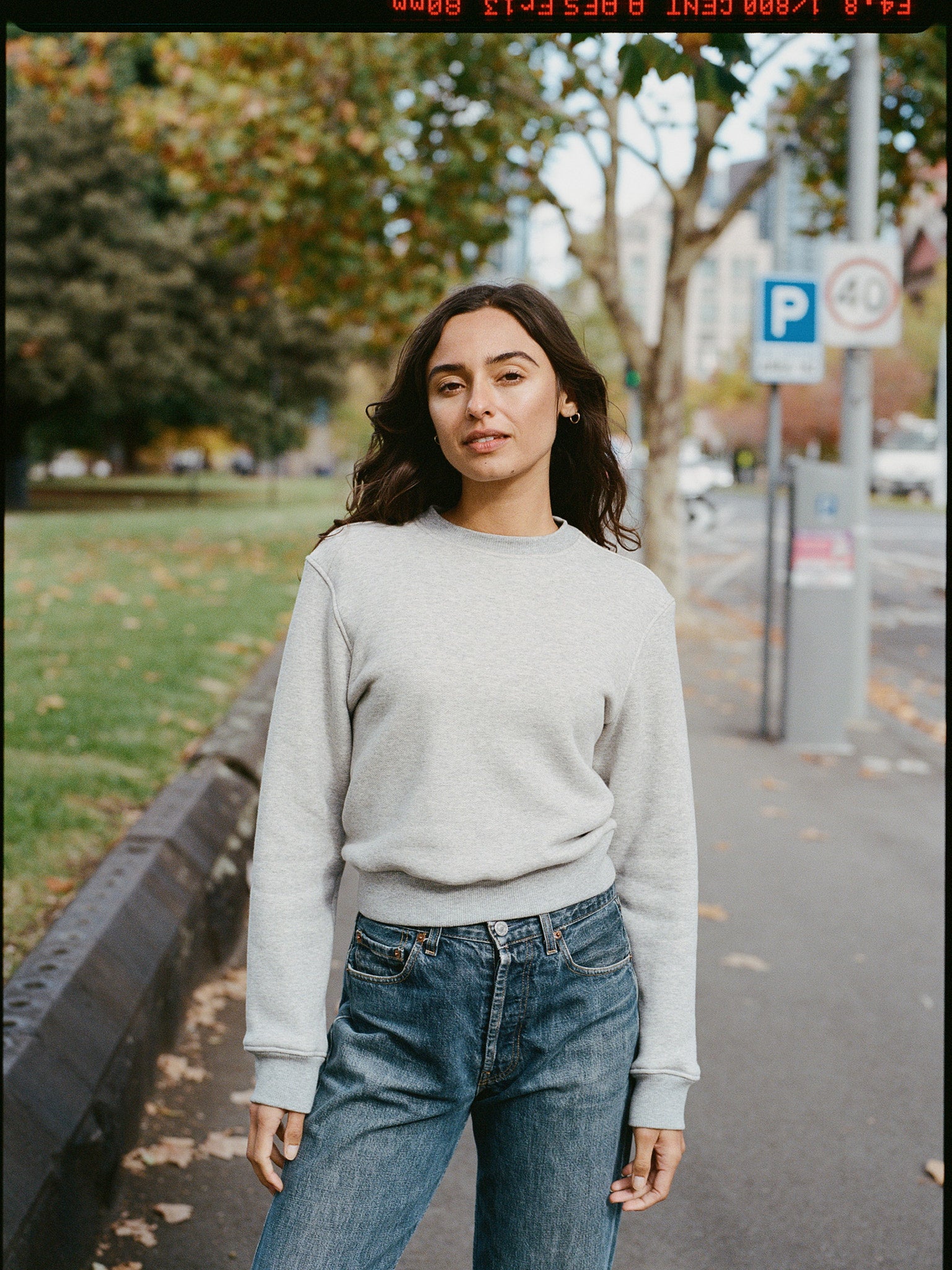 Fiadh Grey Japanese Cotton Sweatshirt